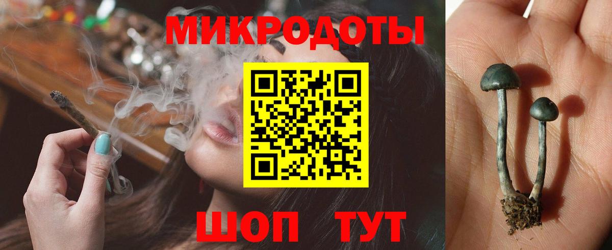 Псилоцибиновые грибы MAGIC MUSHROOMS Александров